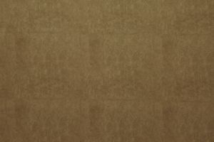 Moleskin