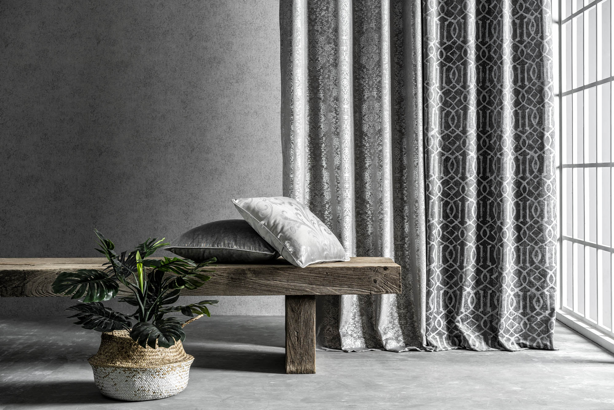 Silver Ash The Colour Trend To Go For